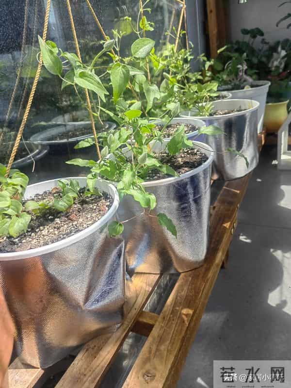 冬季10个“不花钱取暖”妙招，打开思路，不花钱照样可以温暖过冬