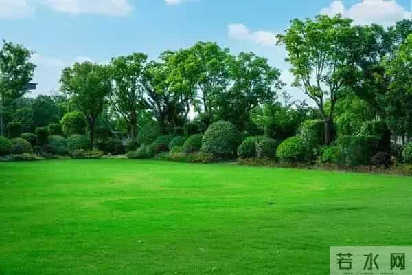 50岁后，存款够这个数就别瞎攒了：钱是活的，日子别过成死的