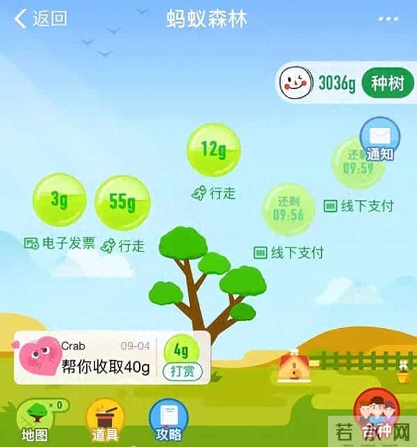 马云斥巨资在沙漠里种树,承诺每年1亿棵,9年过去了,树怎样了