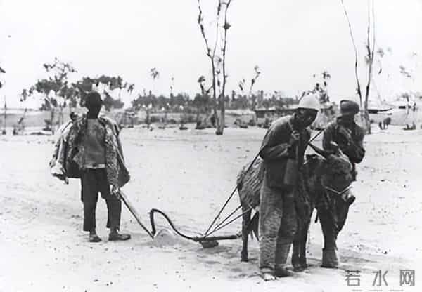 绥远省垦务概况（下）