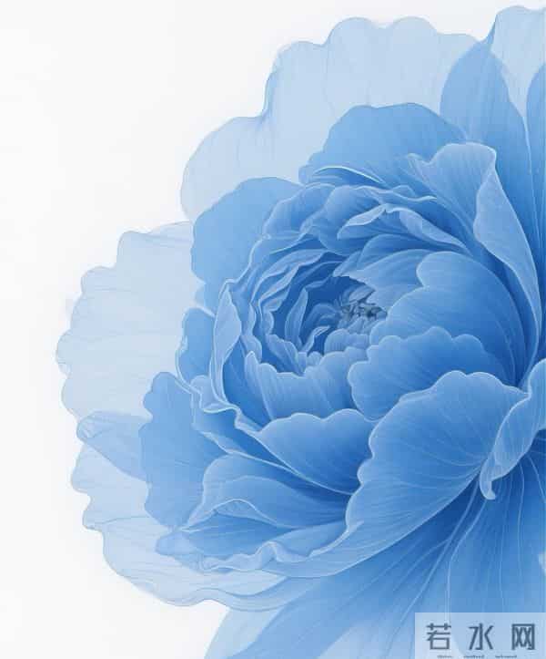 蓝色系花朵 壁纸