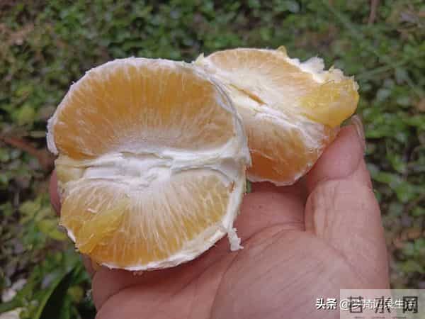 每个人都有自己的底线我不知道将来自己的亲人会不会试探我的底线