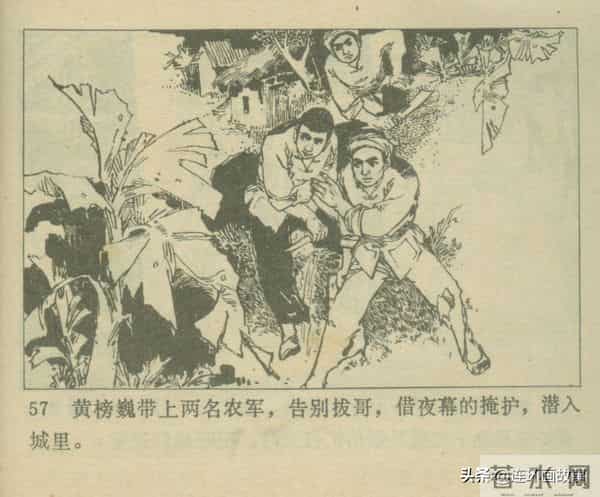 三打胶东见真章,韦拔群智勇破敌,农军精神代代扬!