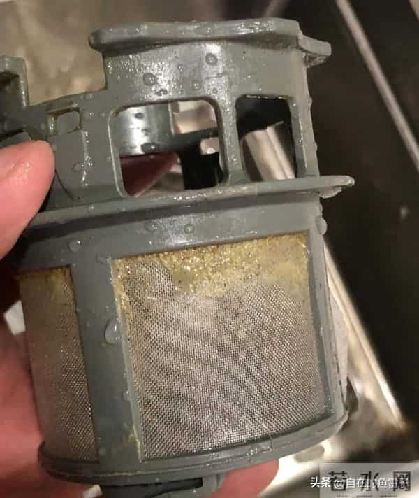 被网友的生活智慧惊呆了！小家电换个思路清洗，干净又轻松