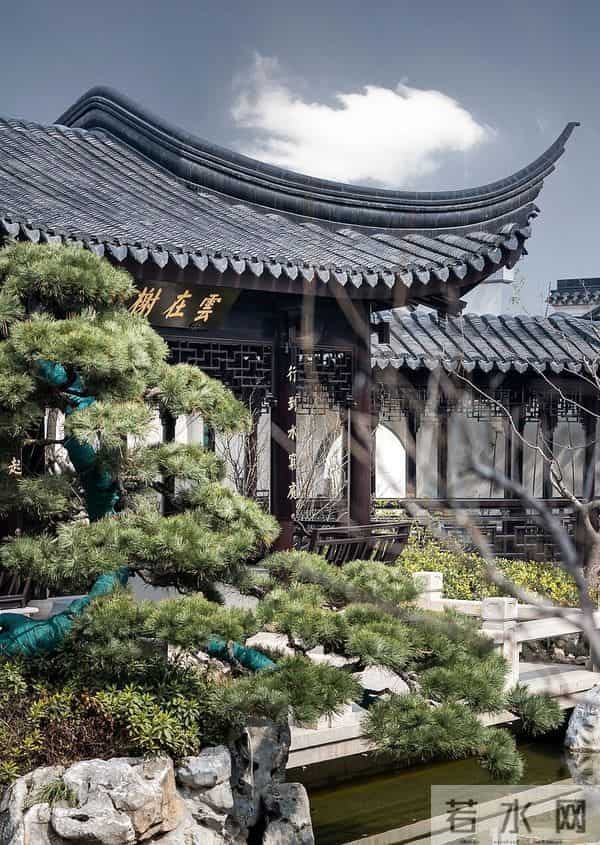 种树一定要种对位置！种错位置，后悔一辈子！