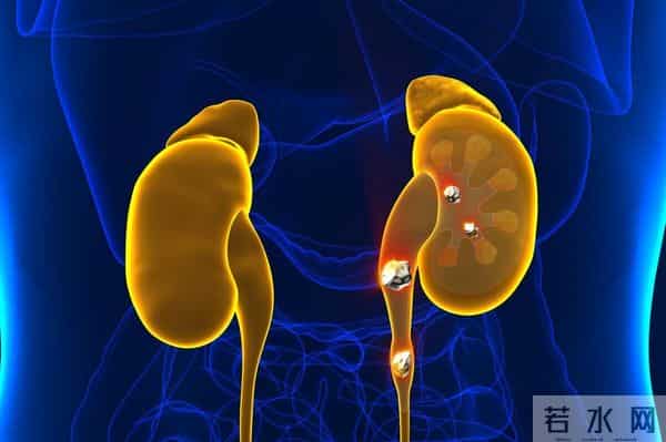 黄酒立大功！医生调查发现：常喝黄酒，或能降低2种并发症