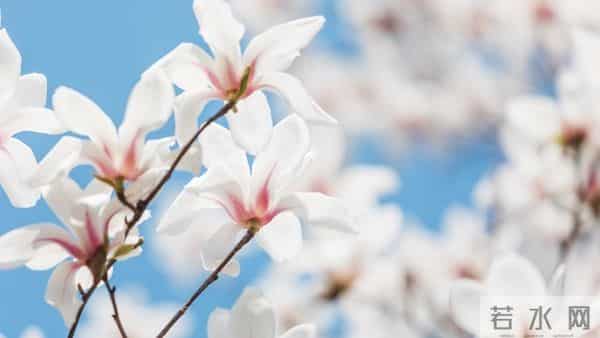 藏了8年的生活小偏方，低成本而且还好用，家家都能用