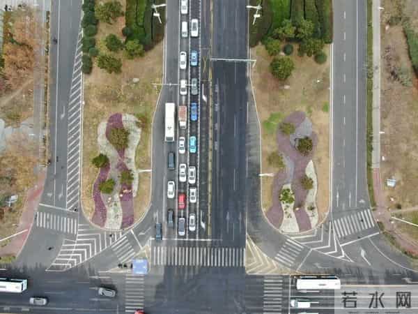 16万株！亮相日照！