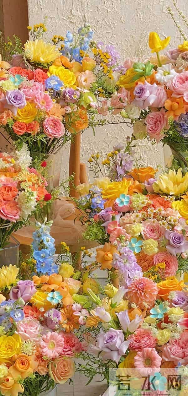 壁纸背景图-生活就得五颜六色