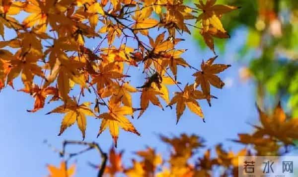 家宅旺否?瞄俩地方!无需请人,非迷信。