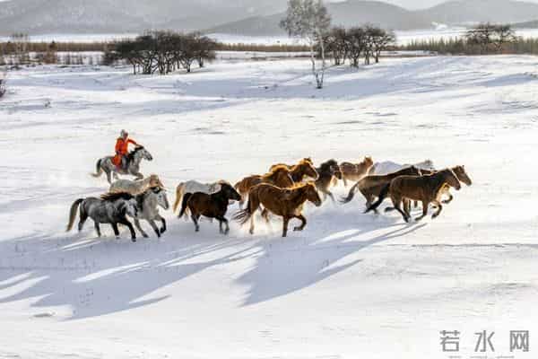 打猎人生记-无情的回击191
