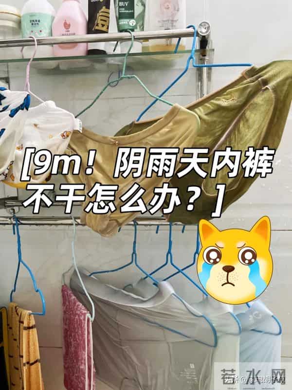 曾被吹上天，如今却“沦为笑柄”的9种家电，你交过智商税吗？