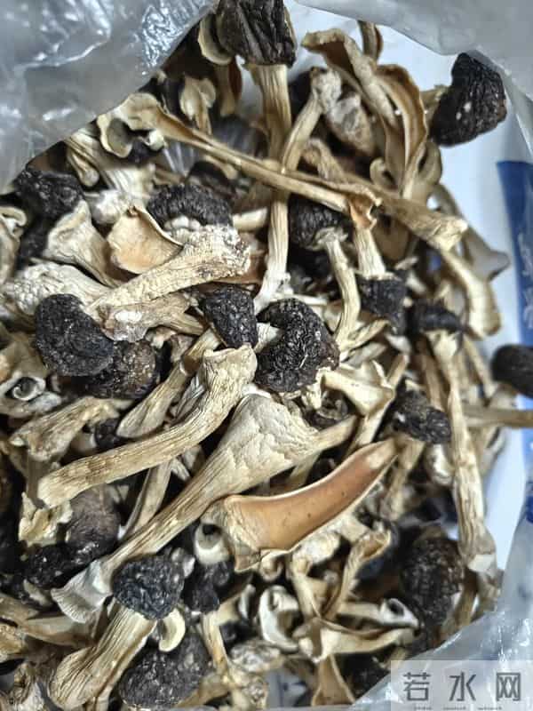 人家下雪天往家跑，而我下雪天往菜地跑，是憨了还是傻了？