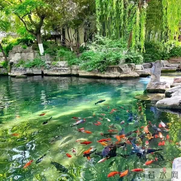 朋友圈背景图头像