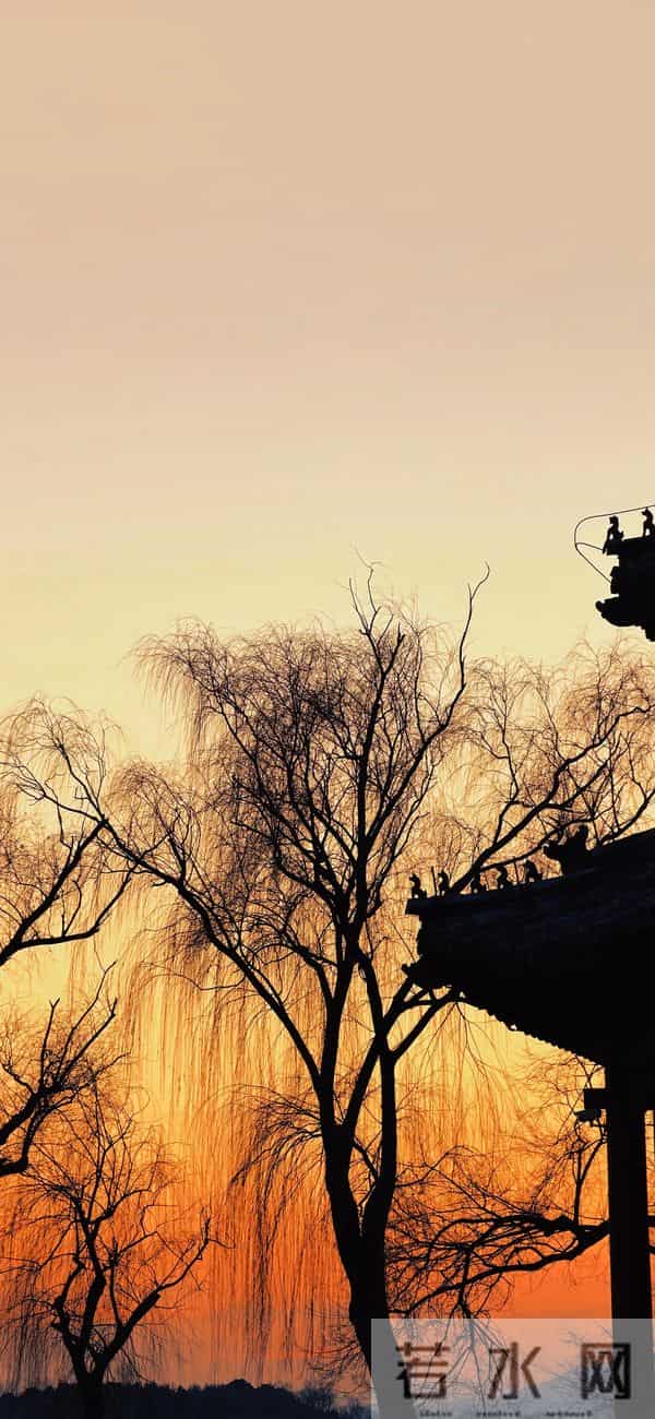 丰富一下你的手机壁纸吧