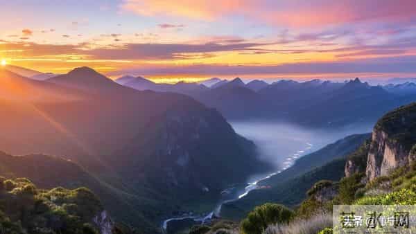 一夜之间，躺平的人成了蕞大的赢家