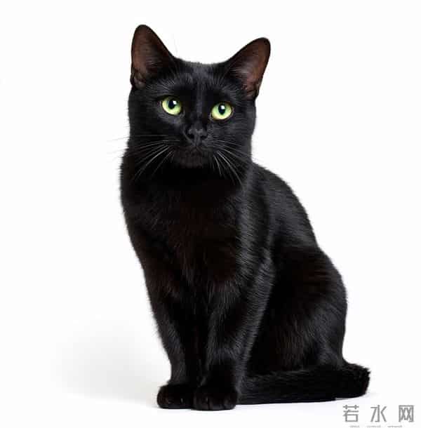 9个玄学生活提醒，全是老辈人藏在细节里的真智慧