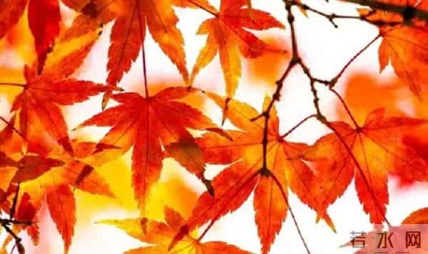 家宅旺否?瞄俩地方!无需请人,非迷信。