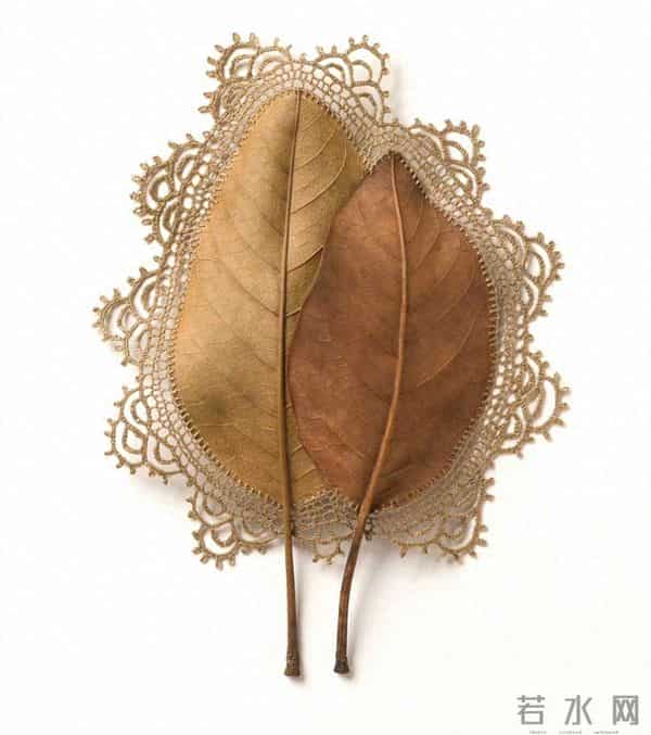 艺术家的手里真的什么都可以变美！艺术家 Susanna Bauer 树叶的艺术