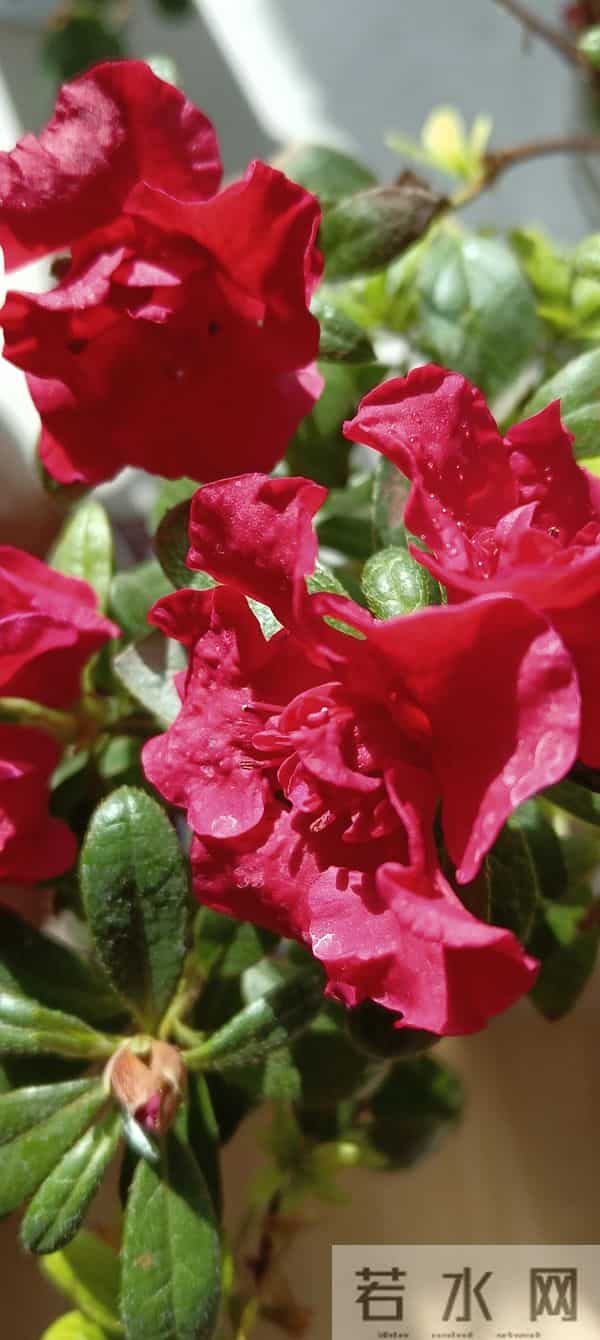 为什么普通家庭的父母会把两三万的学费非常当回事儿？