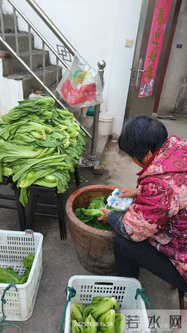 散文- 看婆婆腌咸菜
