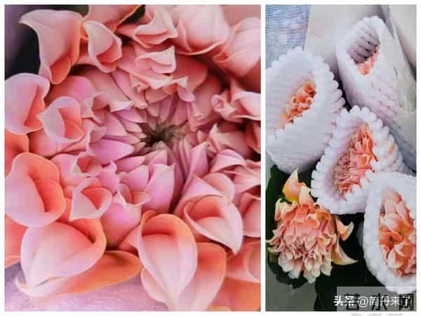 20种花店常见花材图片分享，有你喜欢的吗？