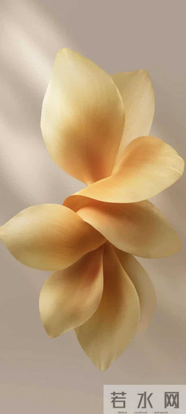 vivoX300系列壁纸