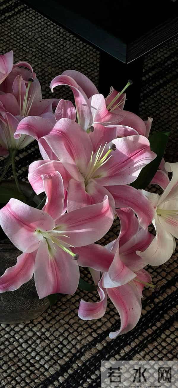 壁纸--存在于每个当下