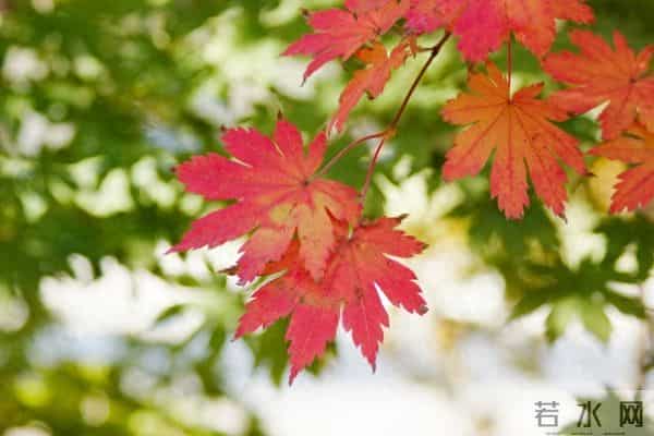 家宅旺不旺，不用请人看，看两个地方就知道，并非迷信