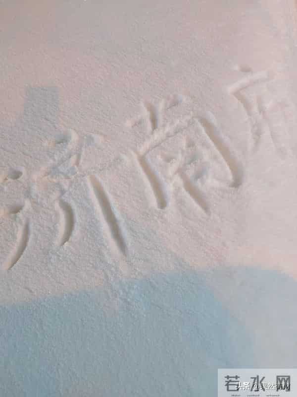 一场大雪,把济南人打回了原形,不土,不闷,很浪漫!