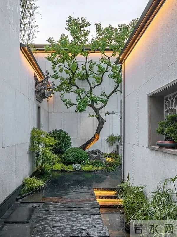 种树一定要种对位置！种错位置，后悔一辈子！