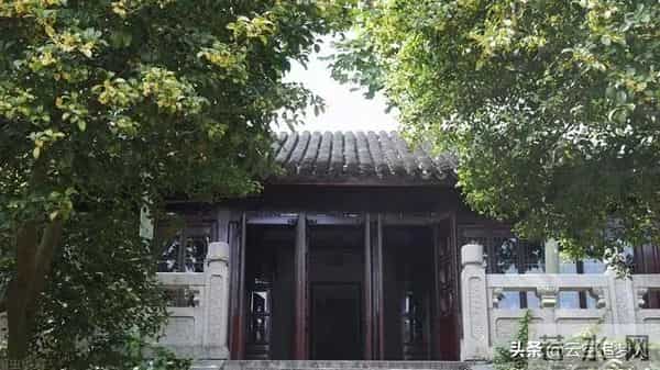 房子面前为什么不能种桂花树?房子前面有桂花树的,要了解一下!