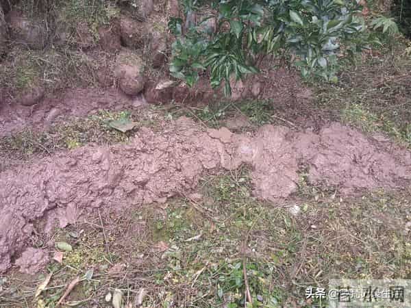 每个人都有自己的底线我不知道将来自己的亲人会不会试探我的底线