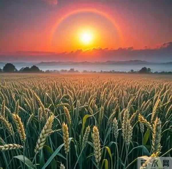 旺自己的微信头像