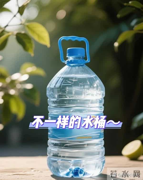 婆婆怎么能聪明成这样？咱们瞧不上的，到她手里都成收纳神器了！