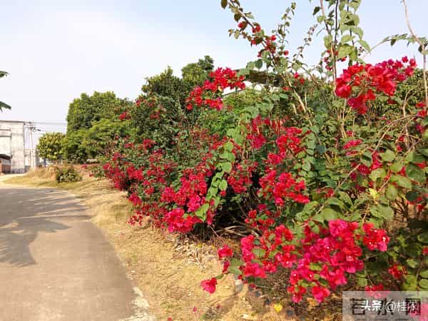 玄学：你知道你的命是几两重？富贵还是贫贱？其实贫富之分在此！