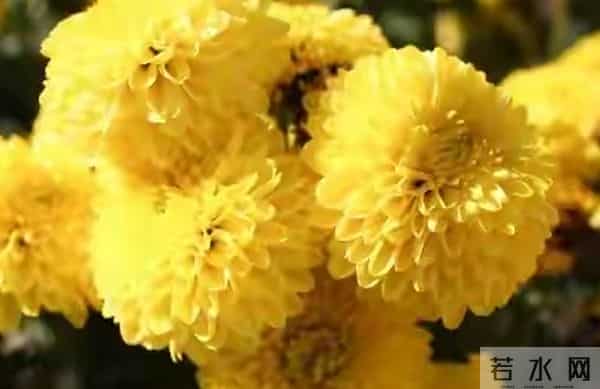 我把家里的旧衣服全部扔掉后,奇怪的事情发生了