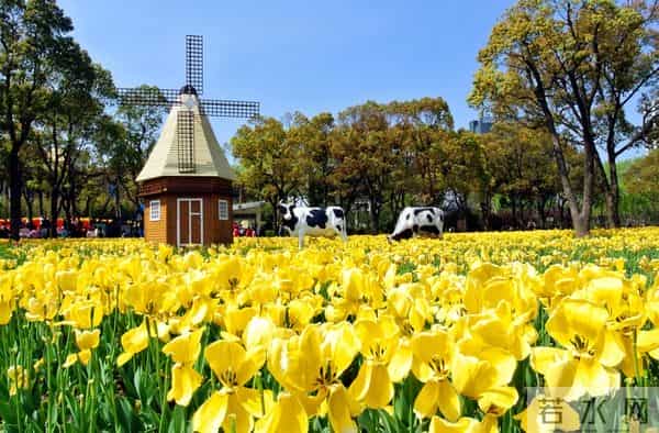 家里留这5样东西越久越不顺，赶紧清，好运主动来