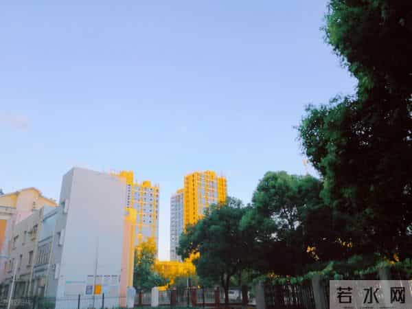 手机靓号这样选：将重要日子藏进号码里