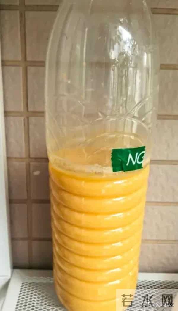 教你做“鸡蛋肥”，1颗鸡蛋发酵成肥料，养君子兰很好用！