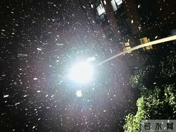 此刻，济宁雪下的正大，不用去东北装小土豆了。