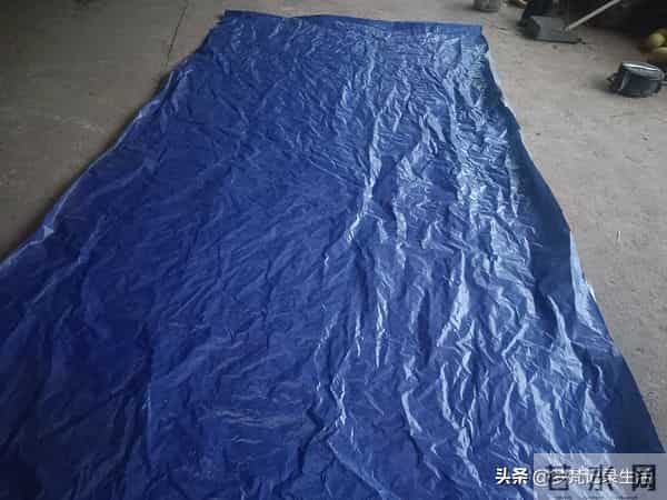 每个人都有自己的底线我不知道将来自己的亲人会不会试探我的底线