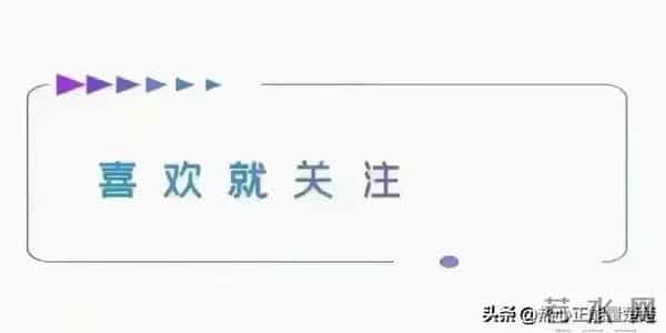 围炉煮茶:一炉烟火,千年温柔