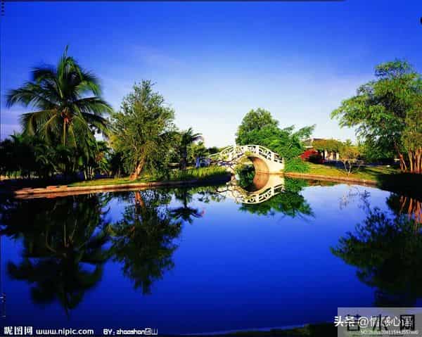 这5种花不要“换大盆”，小盆“憋着养”，疯狂冒花苞