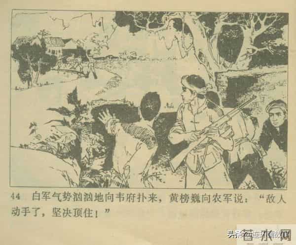 三打胶东见真章,韦拔群智勇破敌,农军精神代代扬!