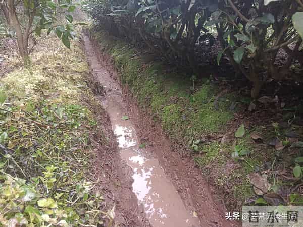 每个人都有自己的底线我不知道将来自己的亲人会不会试探我的底线