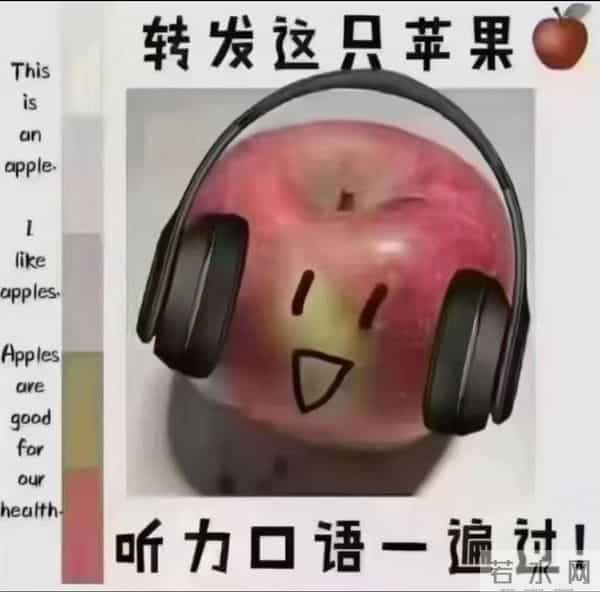 双十二给北京下了场雪，我让初三孩子撒了个欢儿