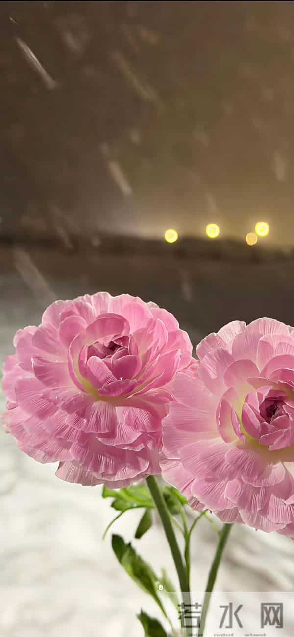 Share｜高品质锁屏壁纸12.13