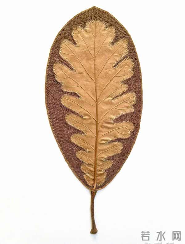 艺术家的手里真的什么都可以变美！艺术家 Susanna Bauer 树叶的艺术