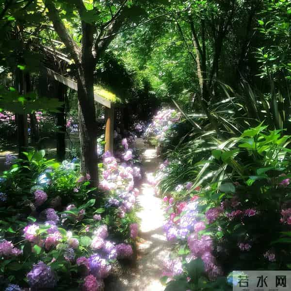 朋友圈背景图头像